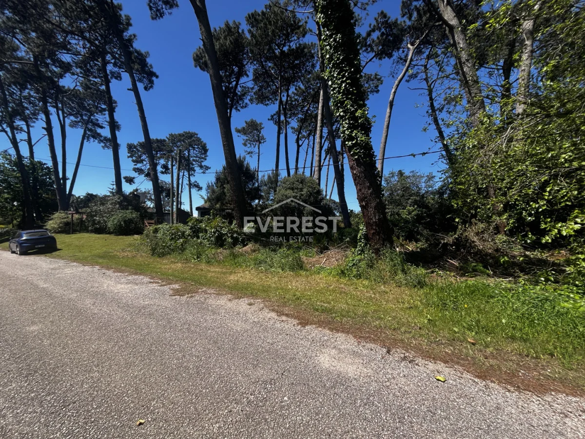 Terreno en Punta del Este, propiedad 302984 -Imagen 9