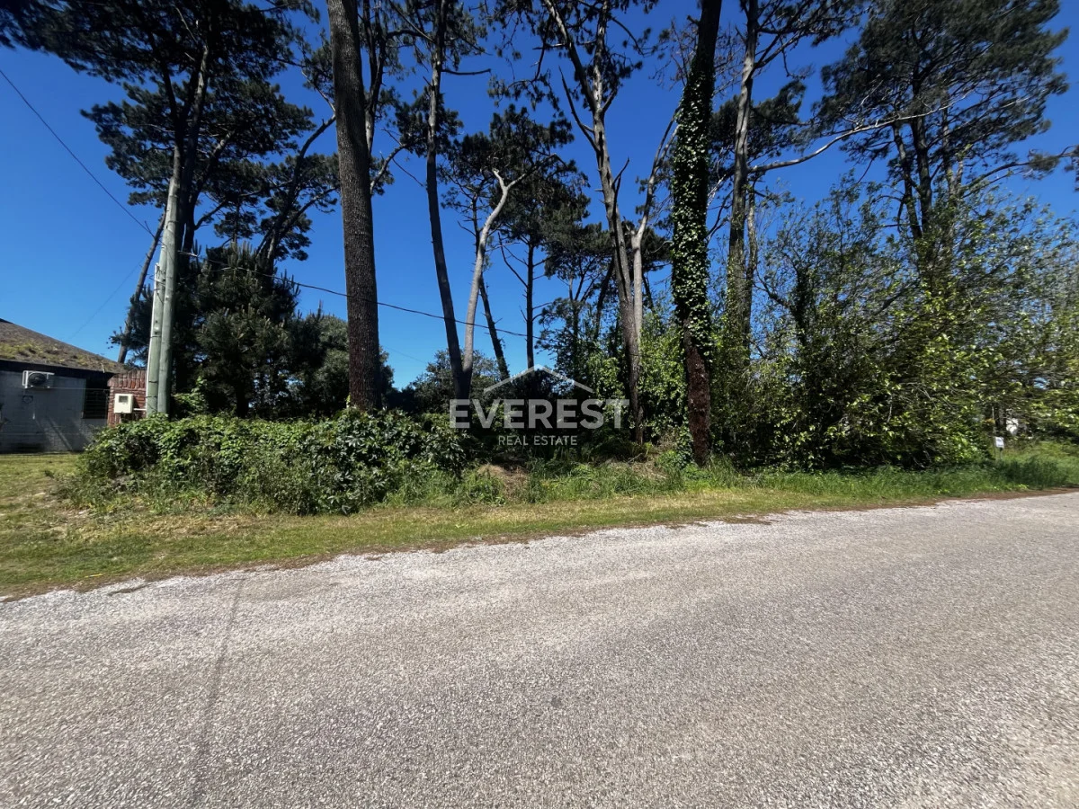 Terreno en Punta del Este, propiedad 302984 -Imagen 10