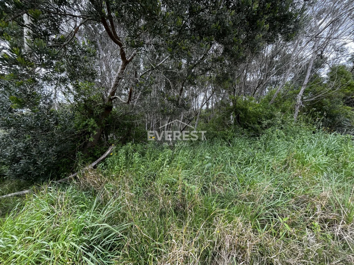 Terreno en Ocean Park, propiedad 303143 -Imagen 11