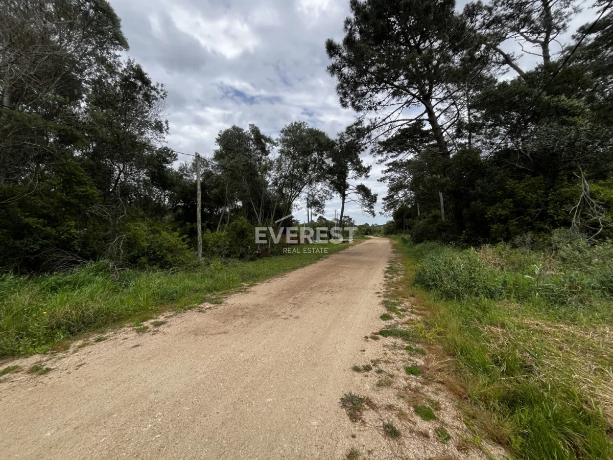 Terreno en Ocean Park, propiedad 303143 -Imagen 7