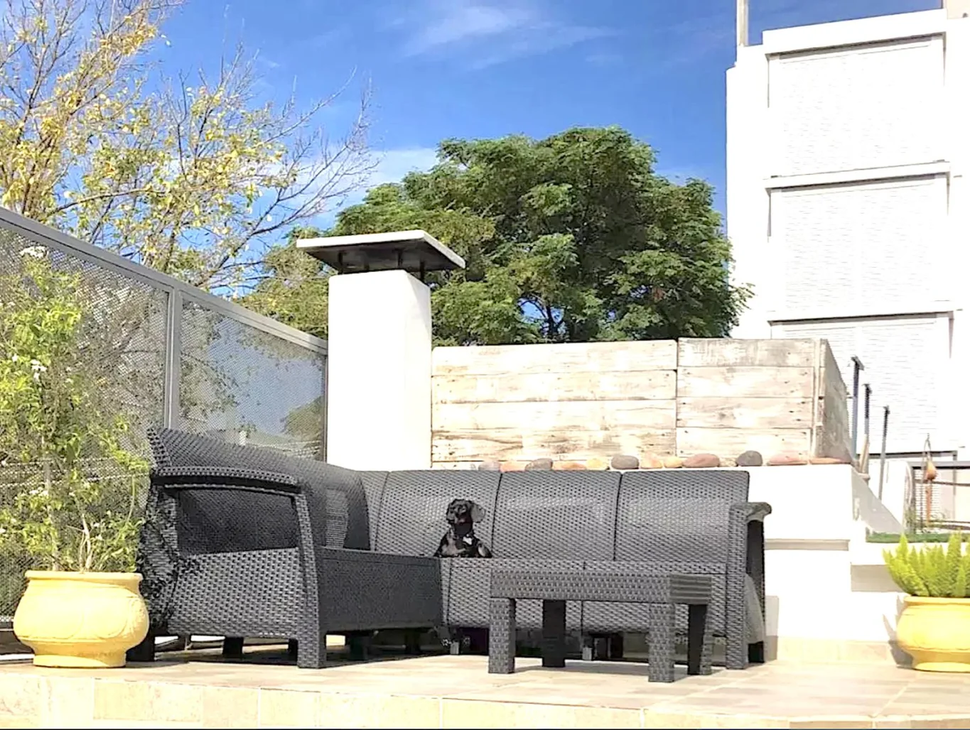 Casa en Tres Cruces, propiedad 148475 -Imagen 7