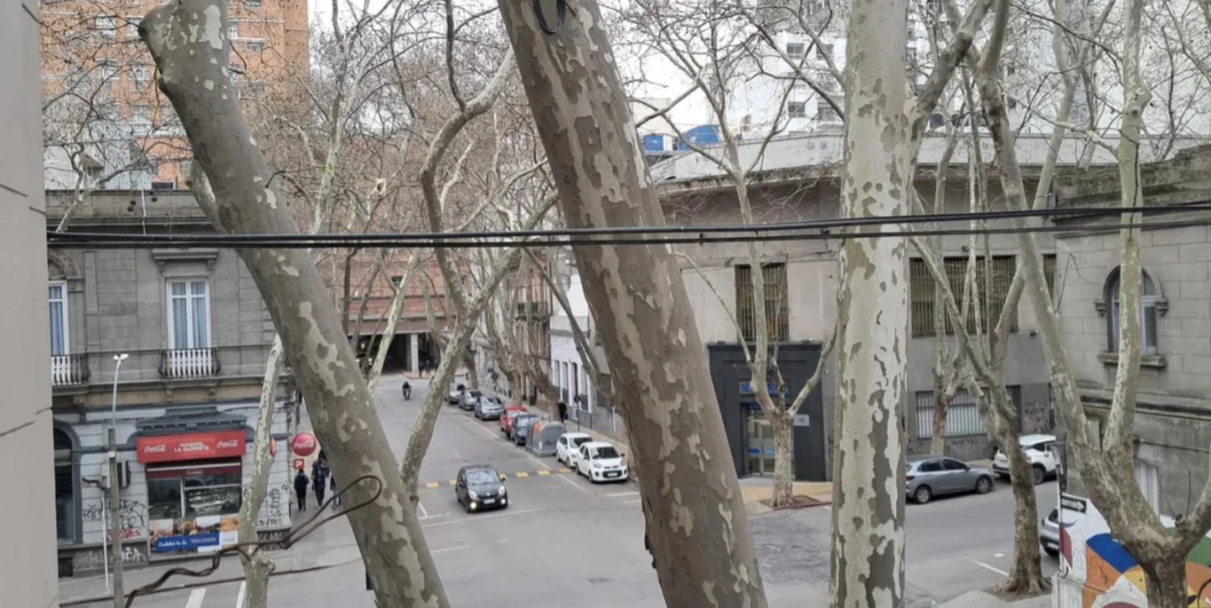 Casa en Centro, propiedad 212112 -Imagen 13