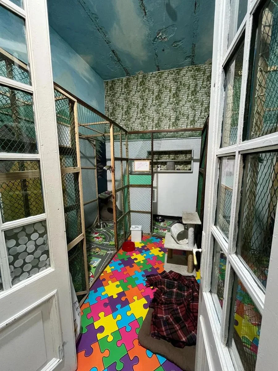 Casa en Punta Carretas, propiedad 249620 -Imagen 16