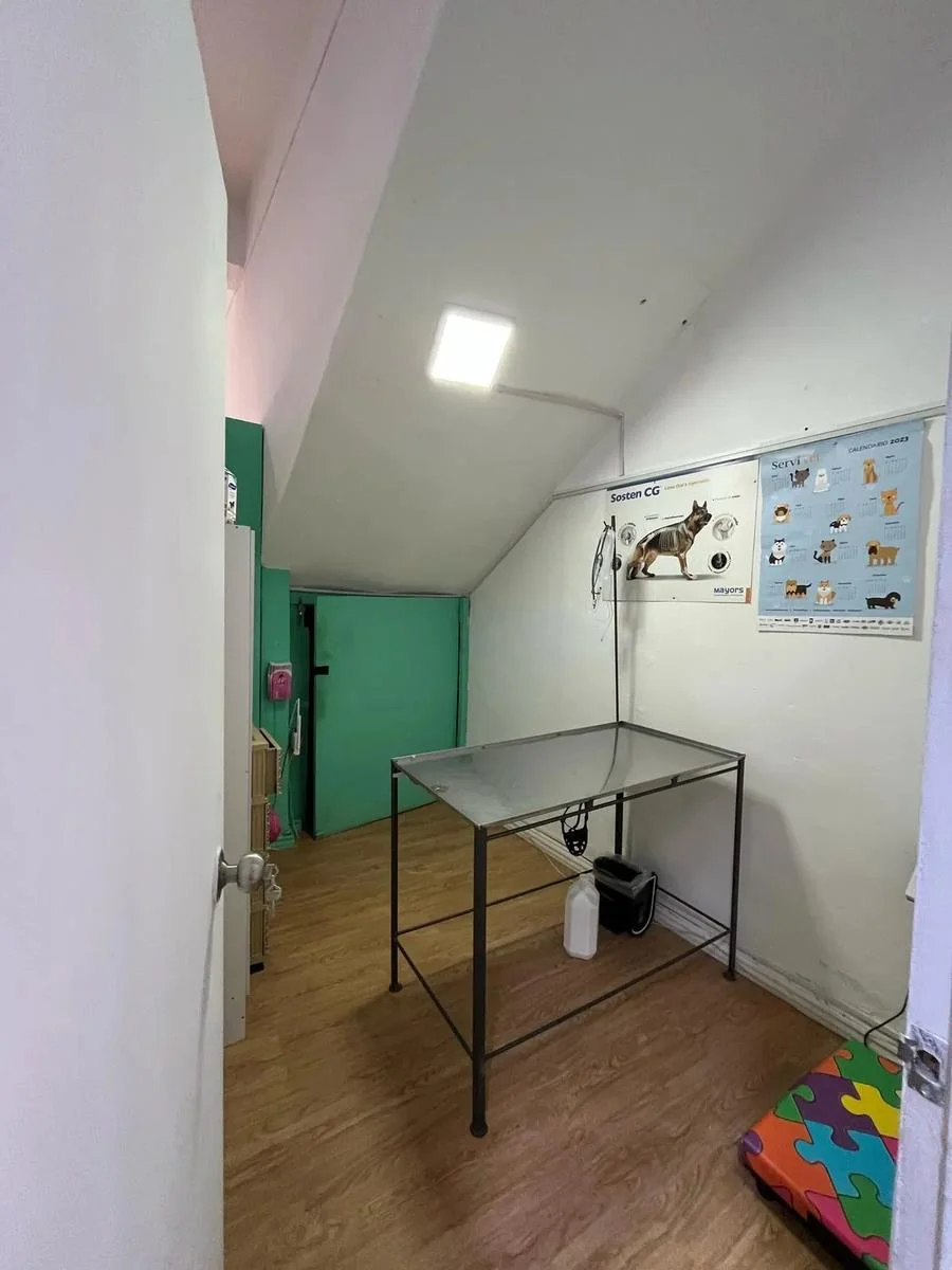 Casa en Punta Carretas, propiedad 249620 -Imagen 18