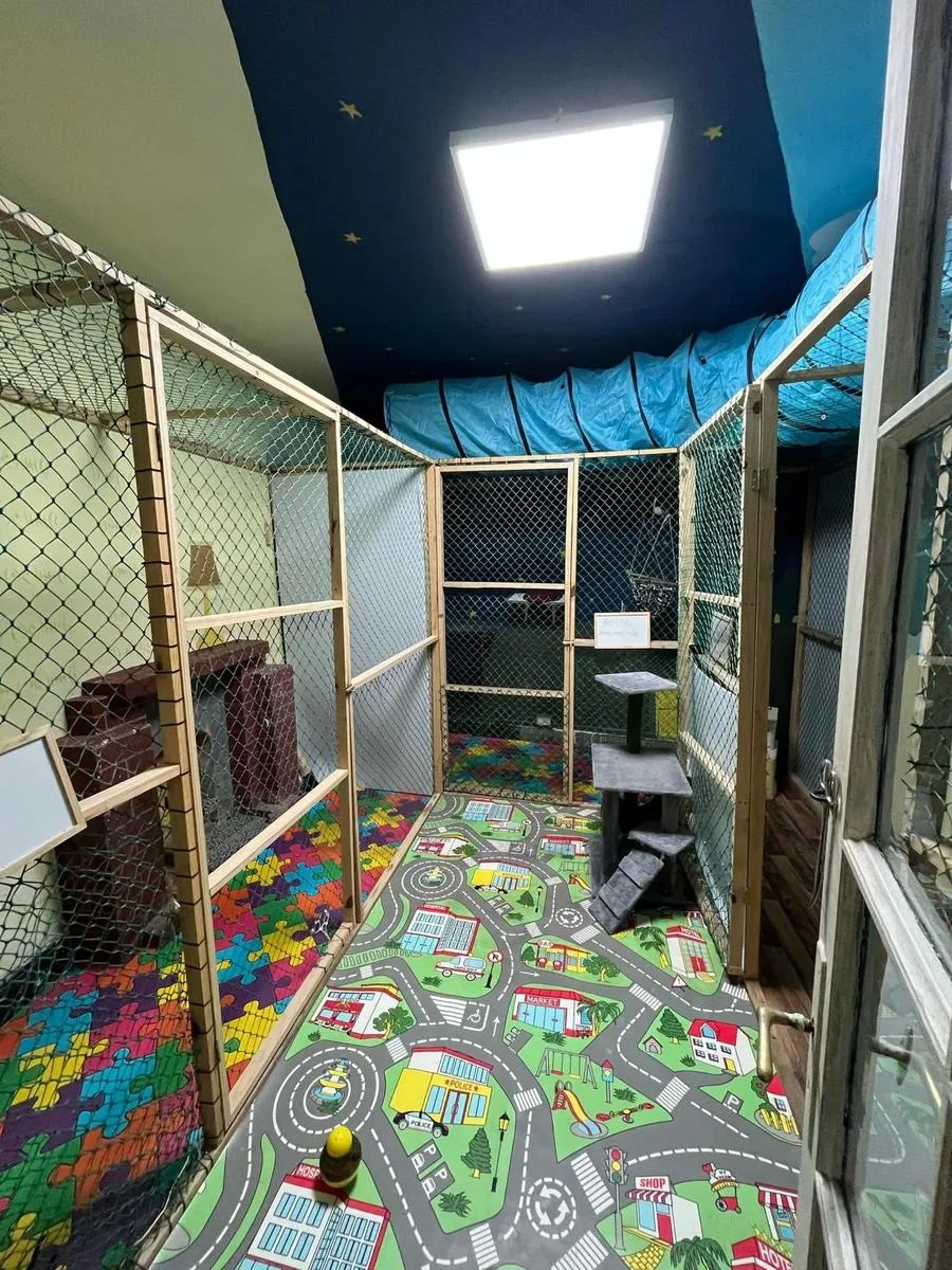 Casa en Punta Carretas, propiedad 249620 -Imagen 7
