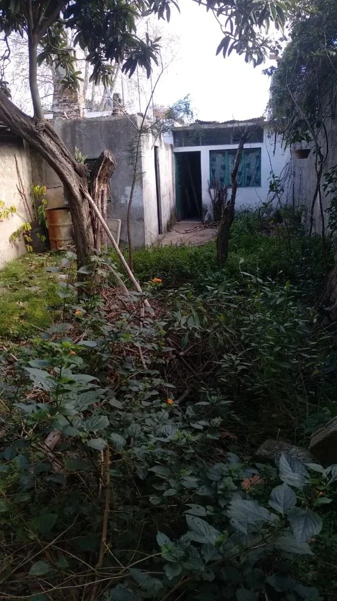 Casa en Buceo, propiedad 275250 -Imagen 12
