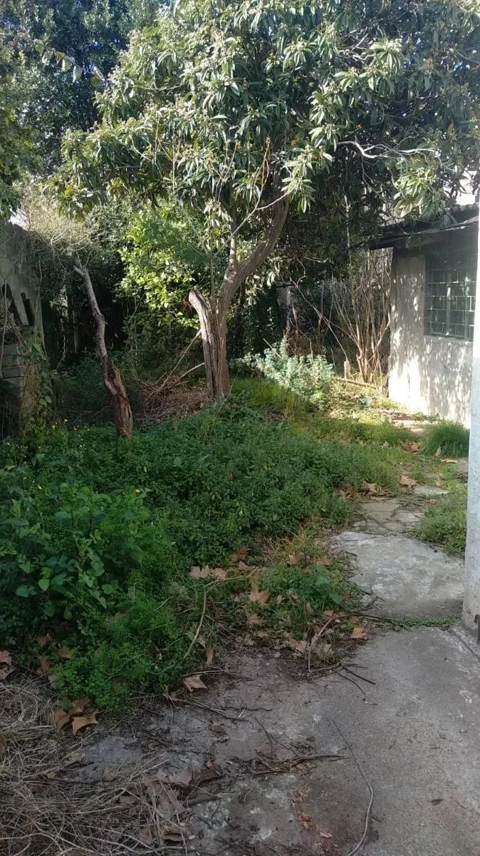 Casa en Buceo, propiedad 275250 -Imagen 15
