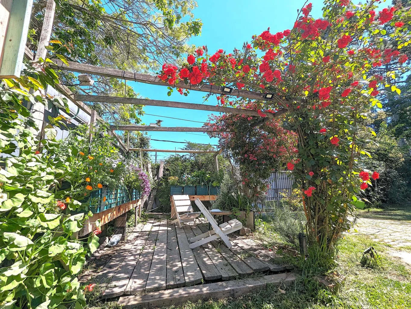 Casa en El Pinar, propiedad 277376 -Imagen 23