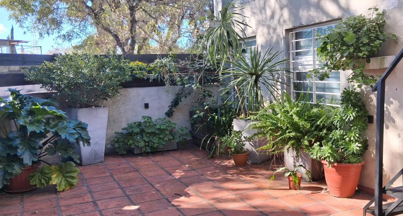 Casa en Aguada, propiedad 287833 -Imagen 15