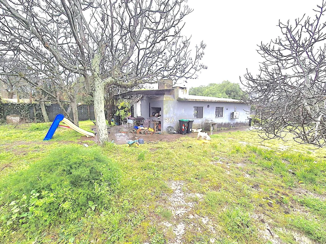 Casa en El Pinar, propiedad 289078 -Imagen 2
