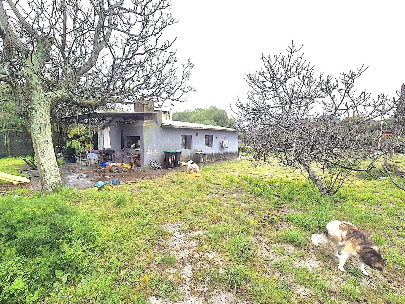 Casa en El Pinar, propiedad 289078 -Imagen 7
