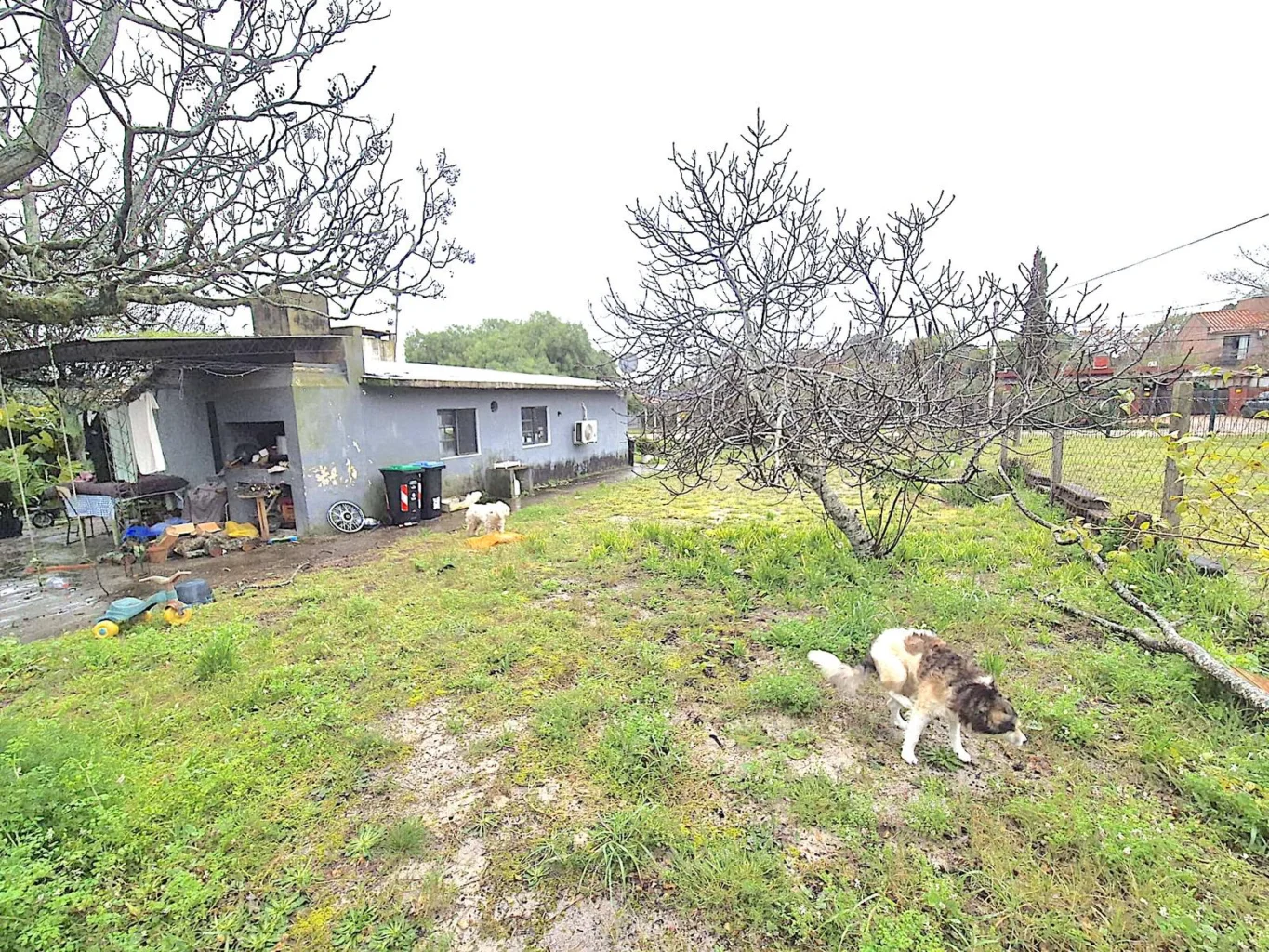Casa en El Pinar, propiedad 289078 -Imagen 8