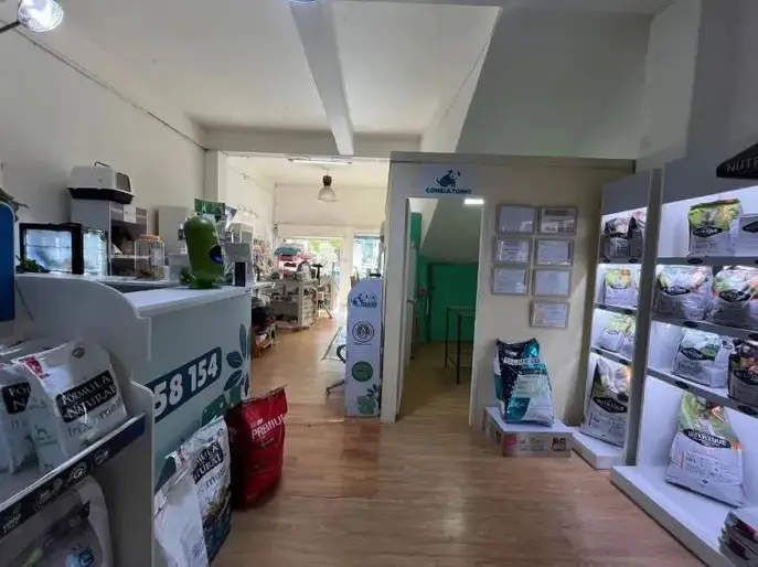 Venta de 2 Casas y Local Comercial en Puntas Carretas