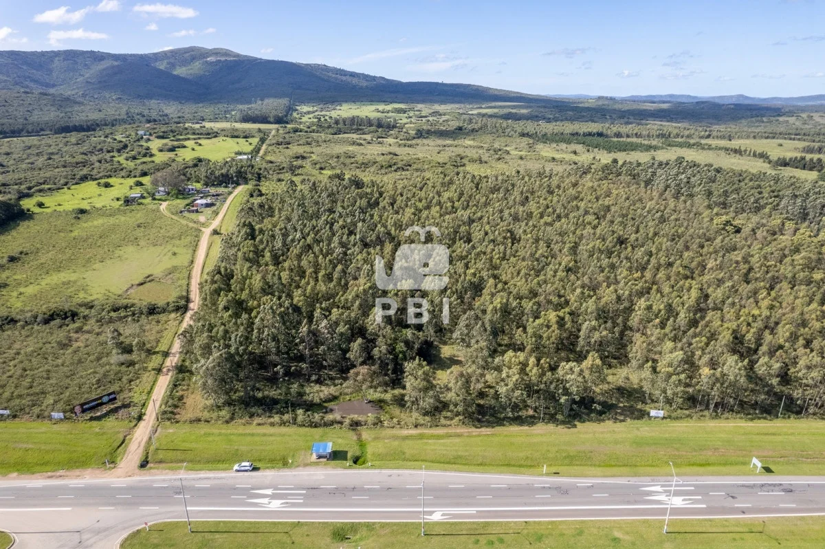 Chacra en Las Flores, propiedad 126240 -Imagen 9