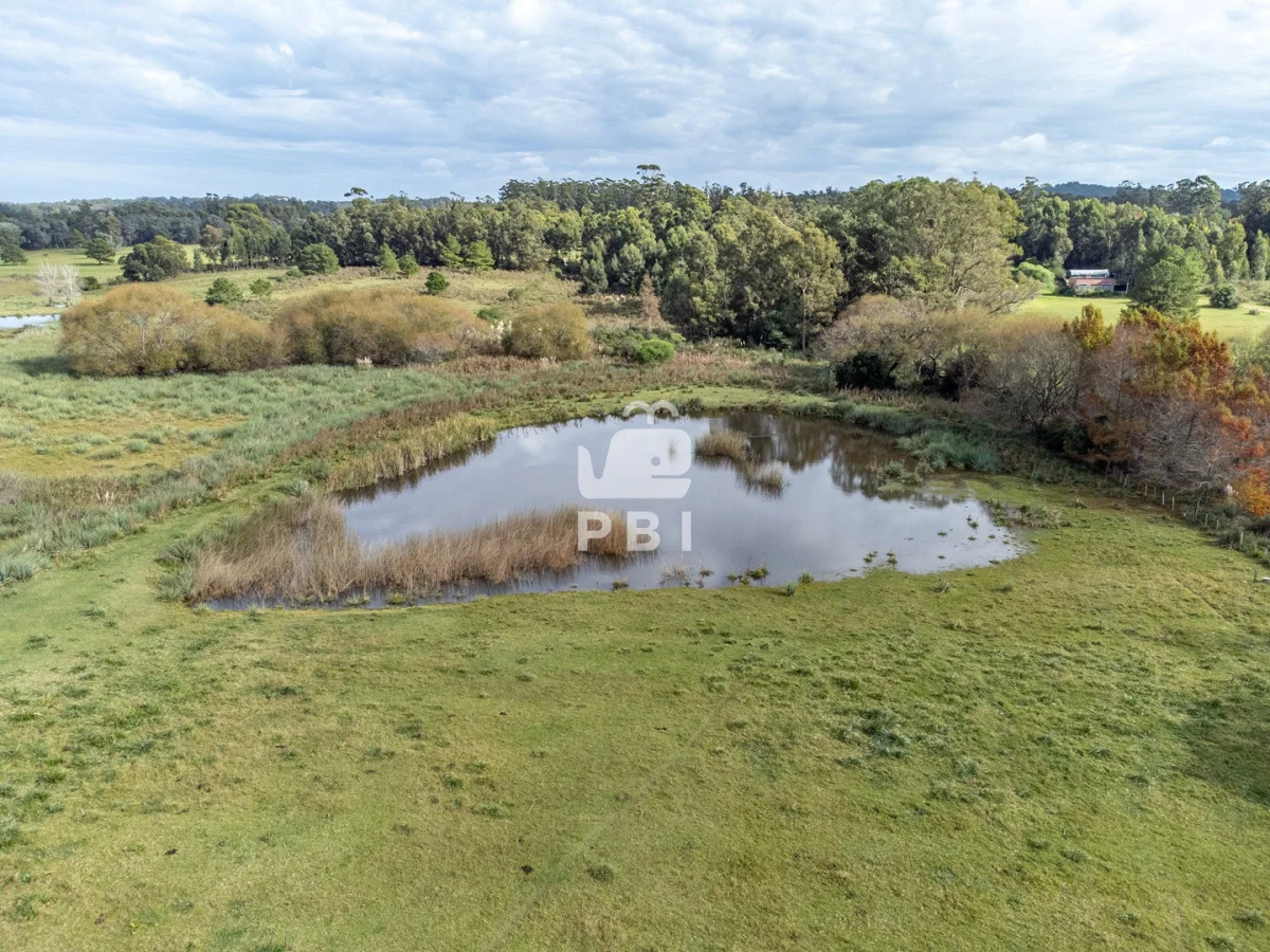Chacra en Punta Ballena, propiedad 135841 -Imagen 8