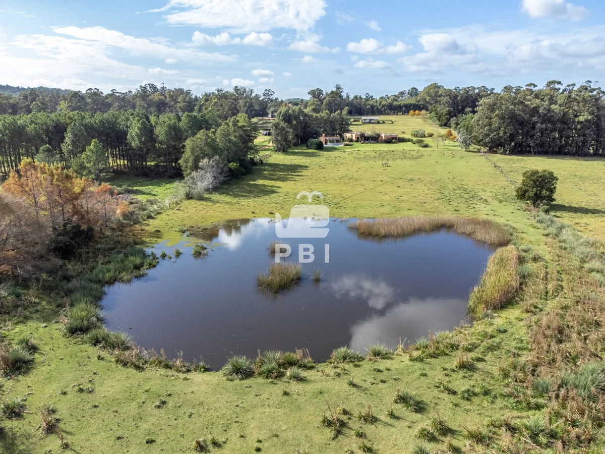 Chacra en Punta Ballena, propiedad 135841 -Imagen 9