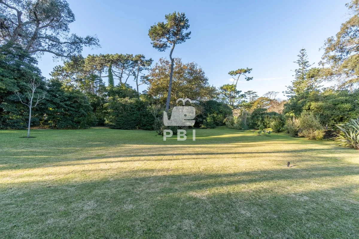 Casa en Golf, propiedad 142526 -Imagen 22