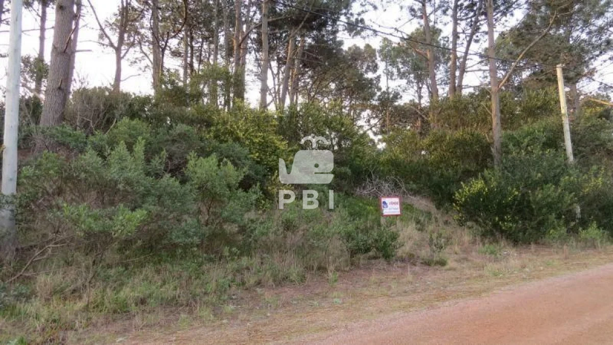 Terreno en Chihuahua, propiedad 149332 -Imagen 2