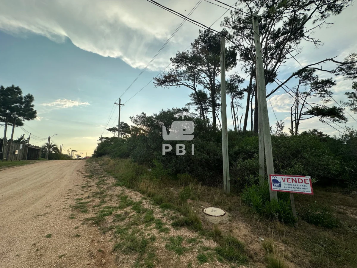 Terreno en Chihuahua, propiedad 149339 -Imagen 4