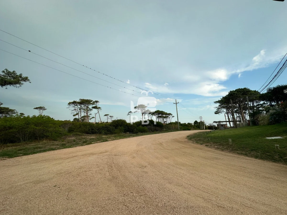 Terreno en Chihuahua, propiedad 149339 -Imagen 5