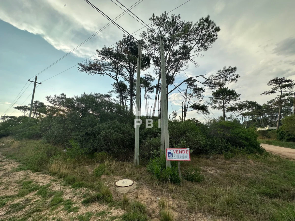 Terreno en Chihuahua, propiedad 149339 -Imagen 6