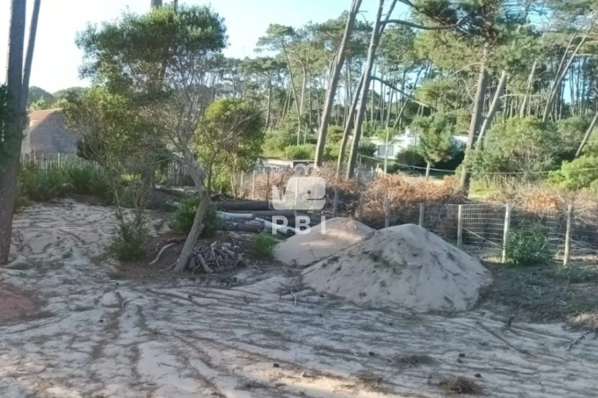 Terreno en Chihuahua, propiedad 163429 -Imagen 4