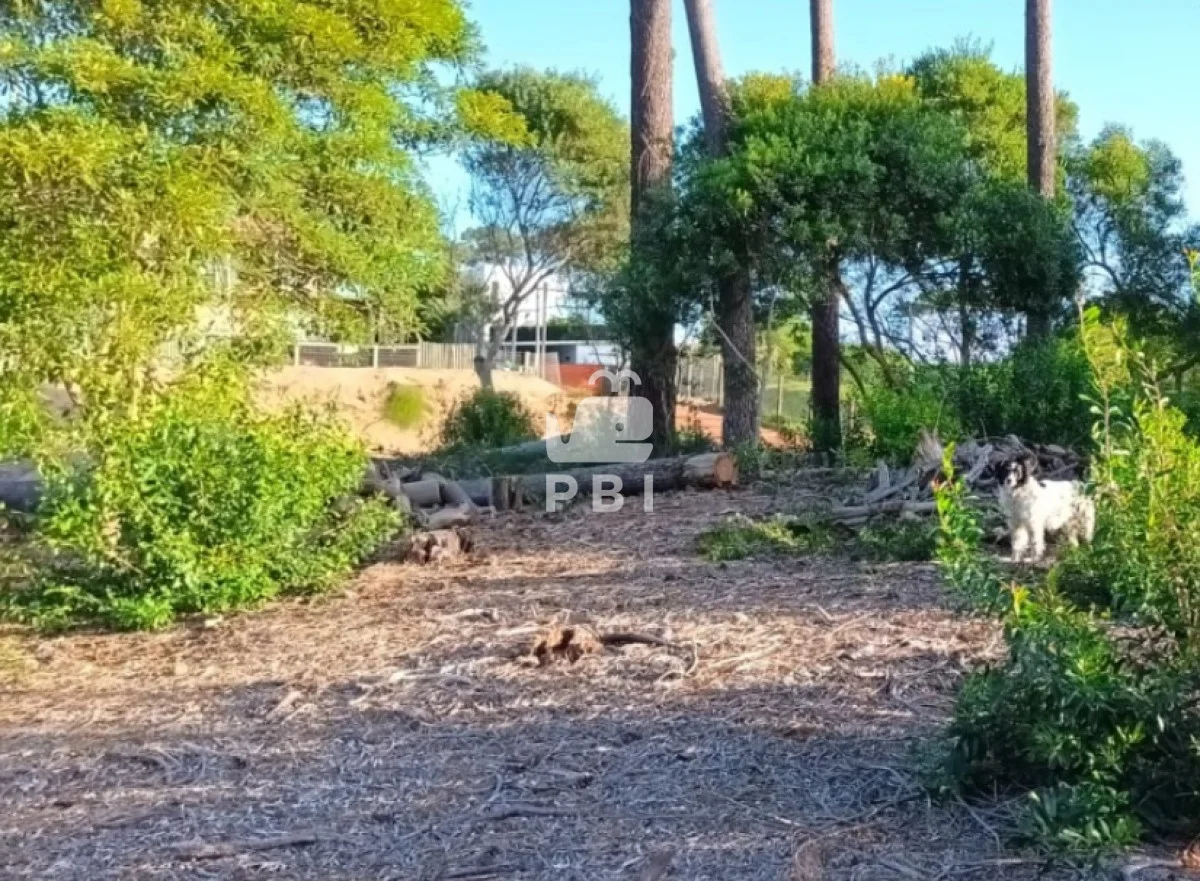 Terreno en Chihuahua, propiedad 163429 -Imagen 5