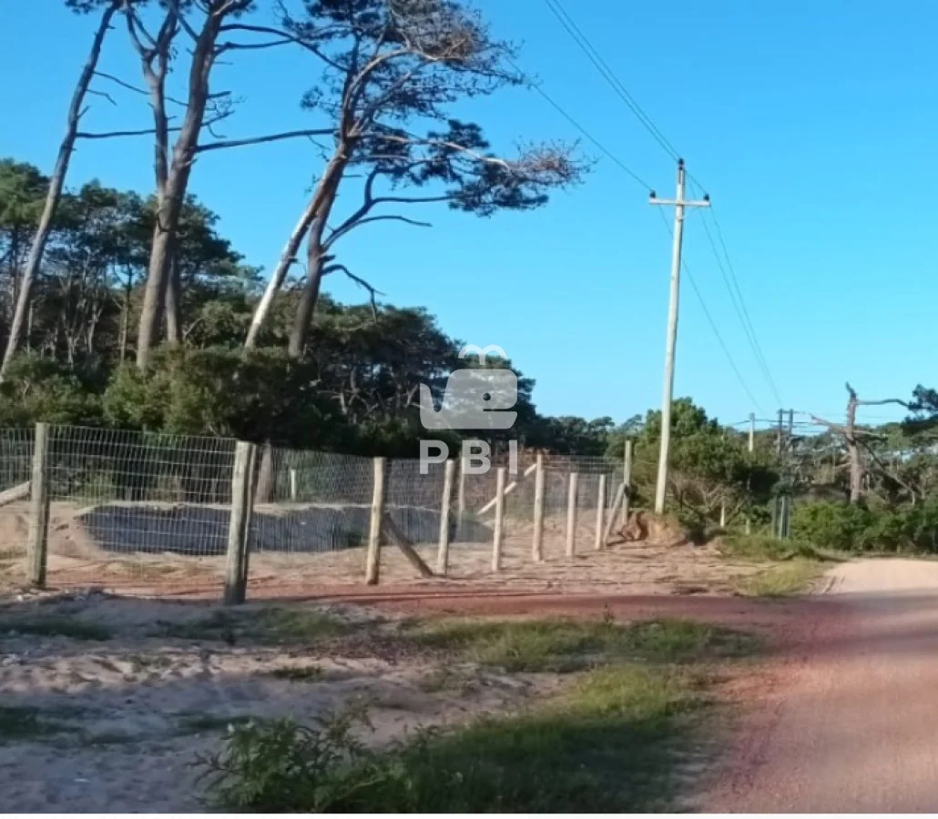 Terreno en Chihuahua, propiedad 163429 -Imagen 7