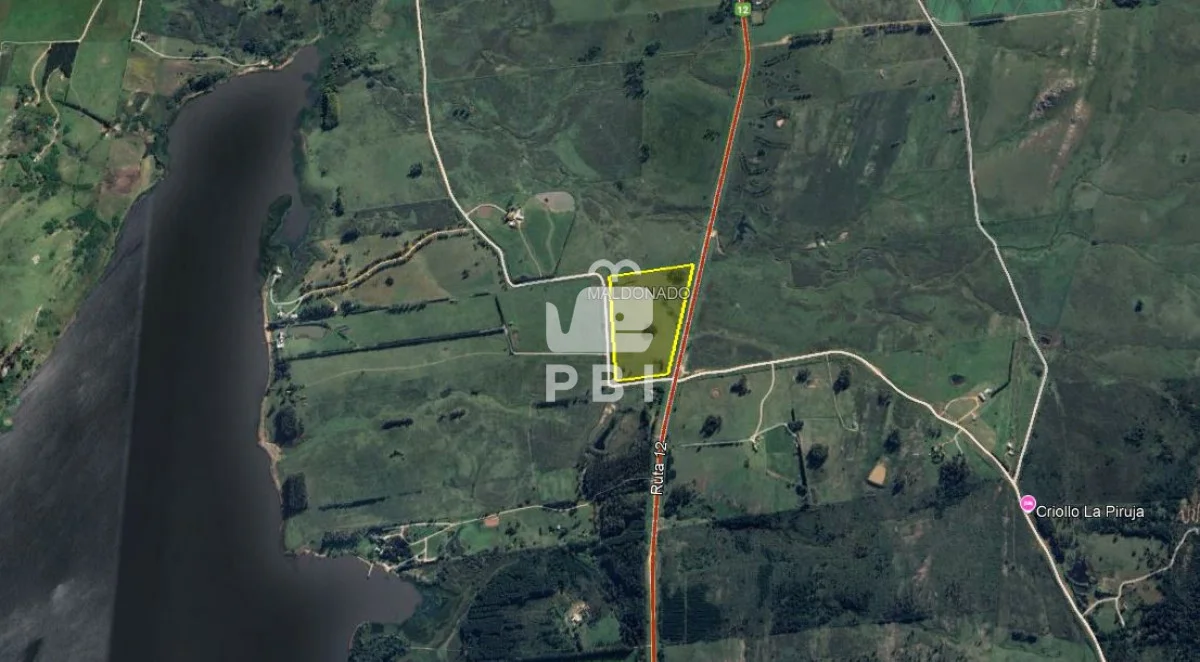 Chacra en Laguna del Sauce, propiedad 164928 -Imagen 12