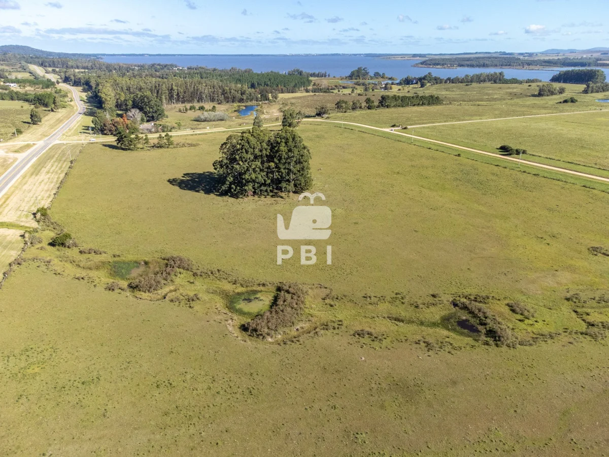 Chacra en Laguna del Sauce, propiedad 164928 -Imagen 3