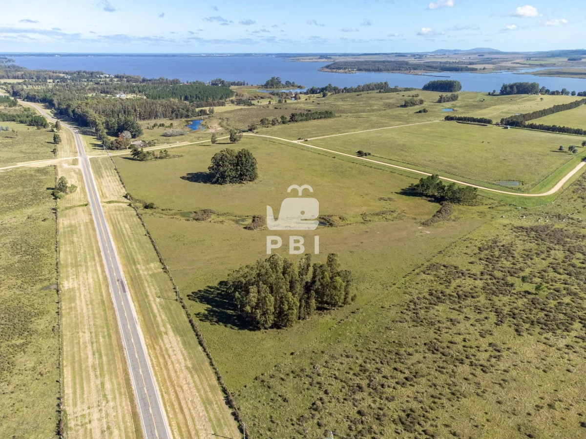 Chacra en Laguna del Sauce, propiedad 164928 -Imagen 4