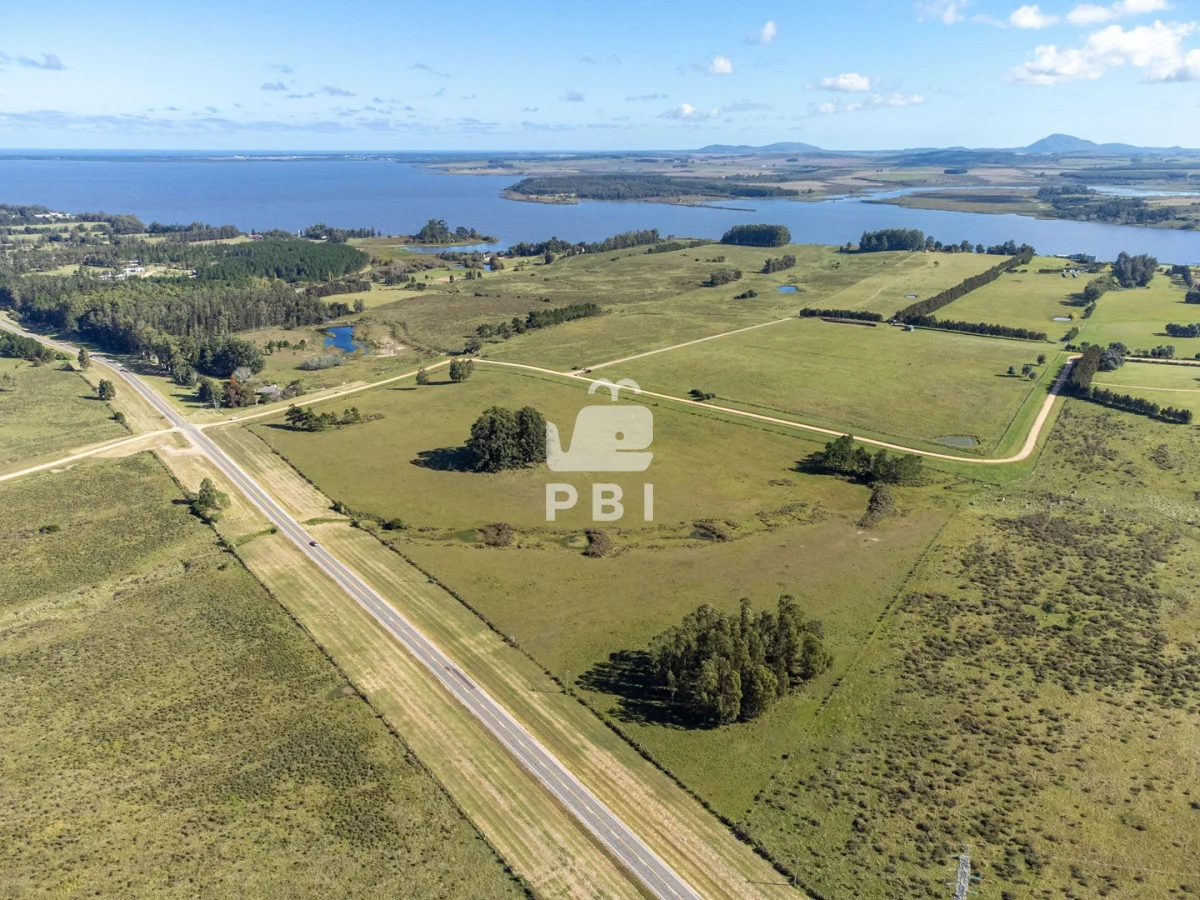 Chacra en Laguna del Sauce, propiedad 164928 -Imagen 5