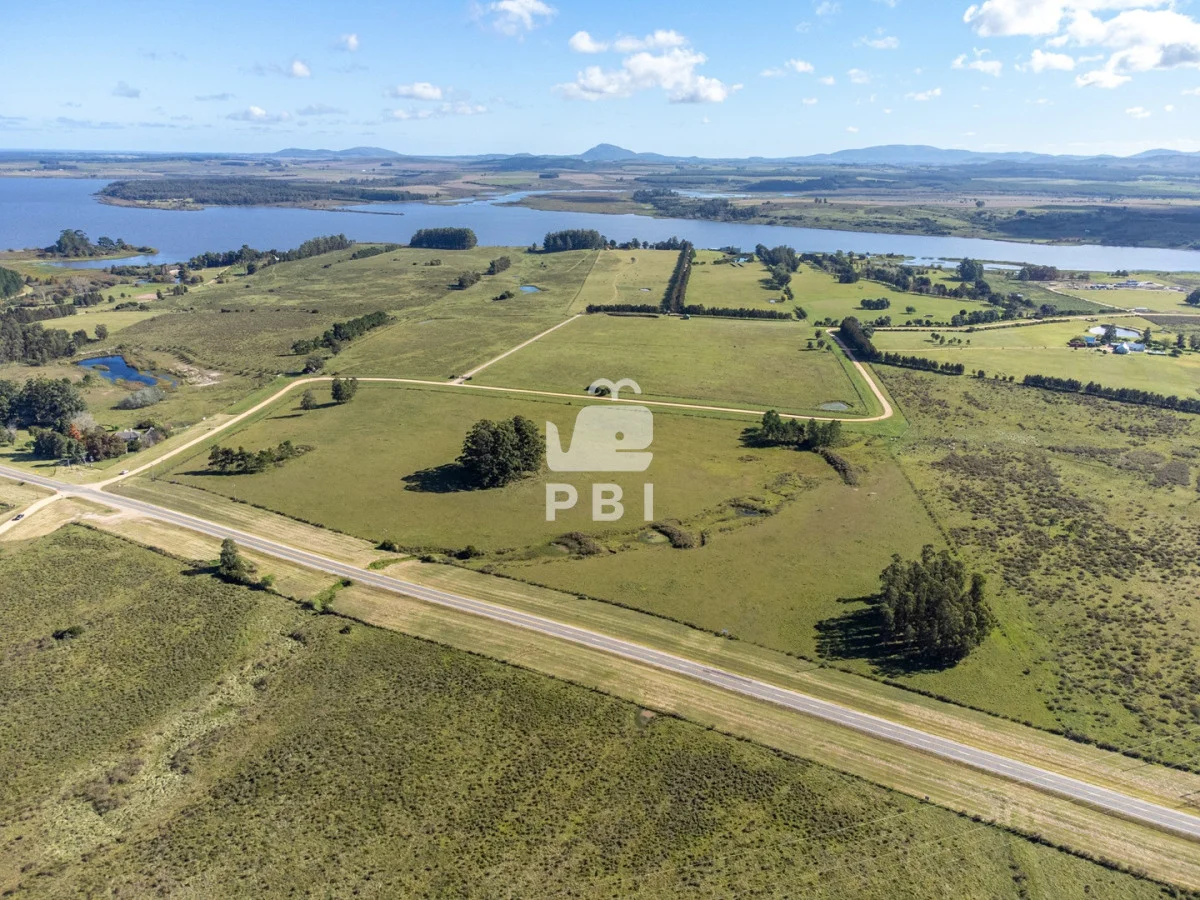 Chacra en Laguna del Sauce, propiedad 164928 -Imagen 6