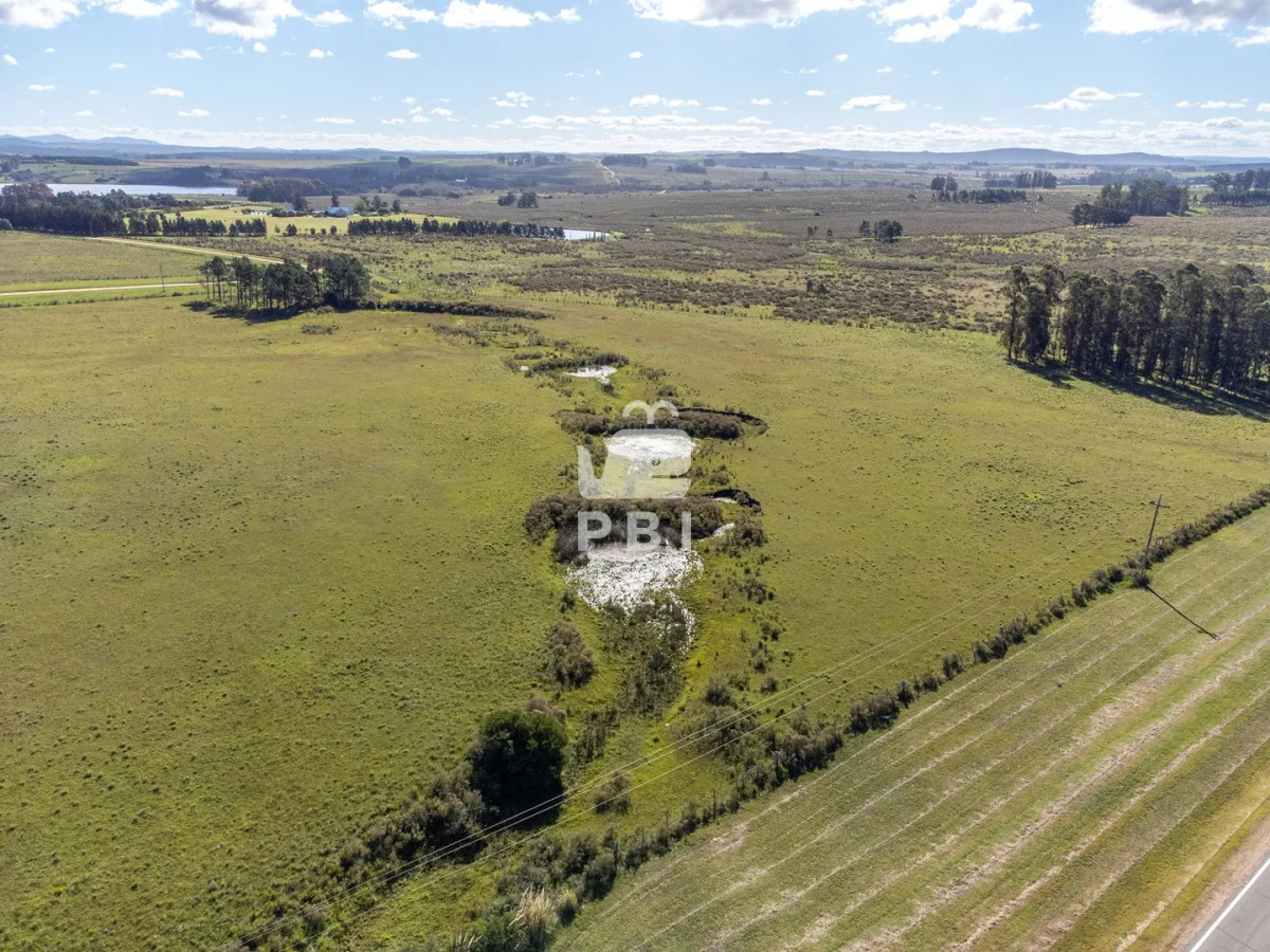 Chacra en Laguna del Sauce, propiedad 164928 -Imagen 8