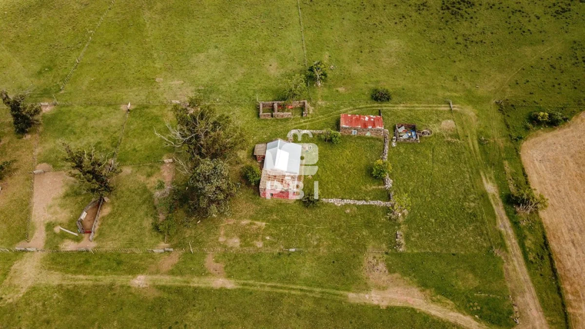 Chacra en Laguna del Sauce, propiedad 164931 -Imagen 5