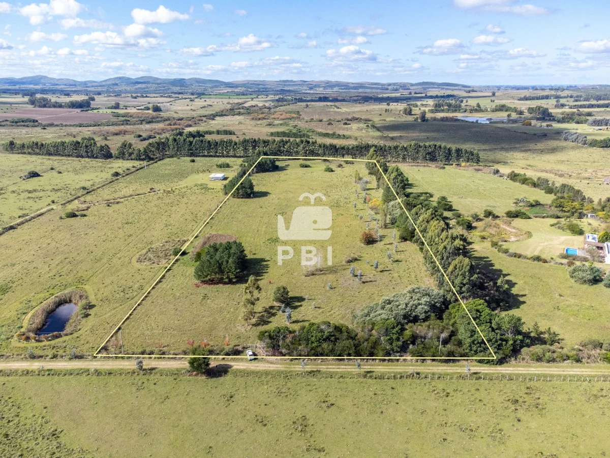 Chacra en Punta Ballena, propiedad 174901 -Imagen 1