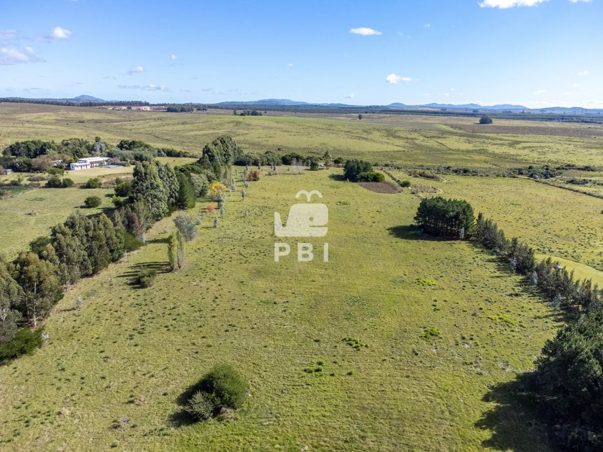 Chacra en Punta Ballena, propiedad 174901 -Imagen 11