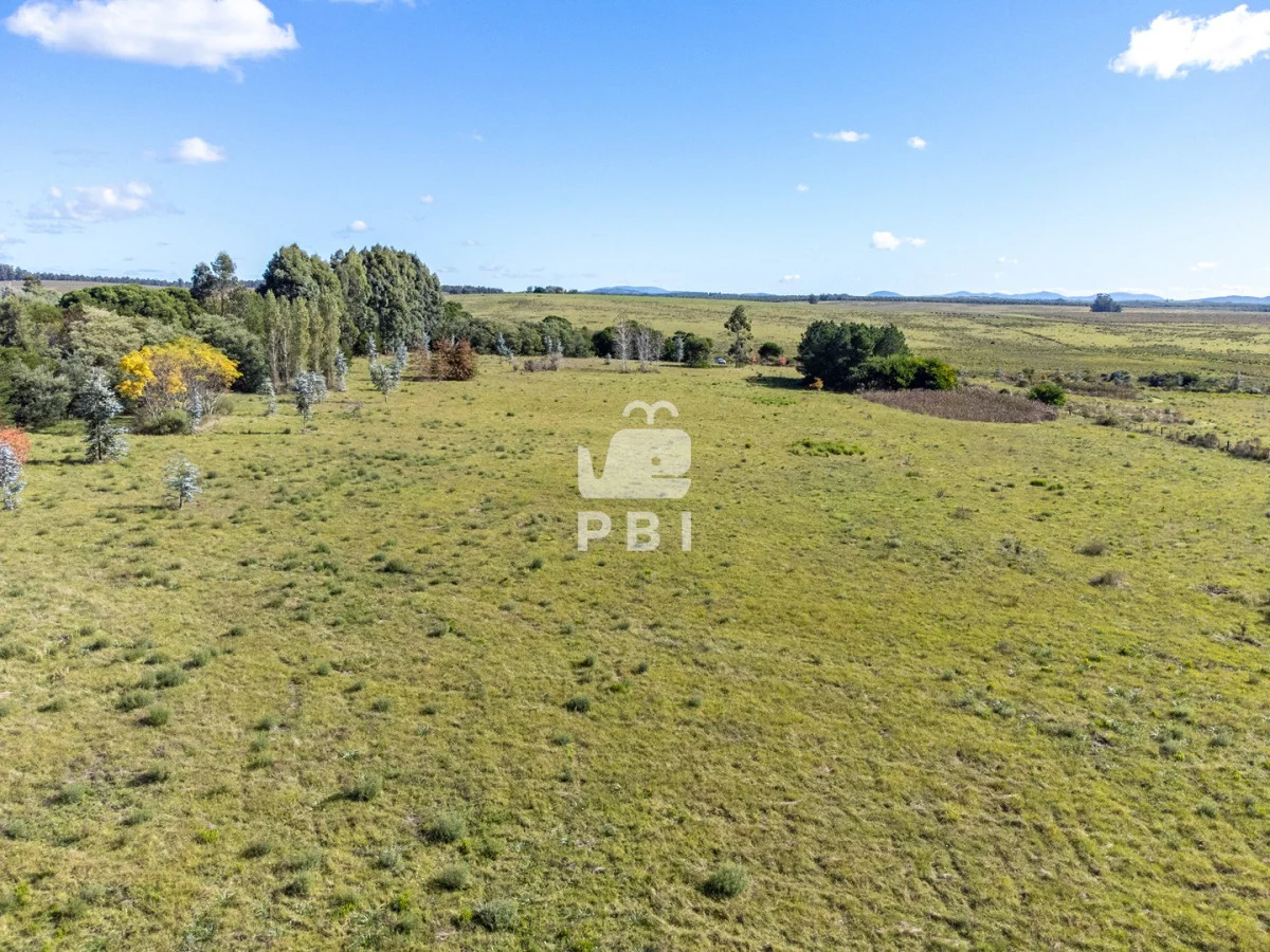 Chacra en Punta Ballena, propiedad 174901 -Imagen 12