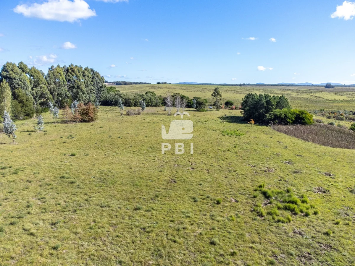Chacra en Punta Ballena, propiedad 174901 -Imagen 13