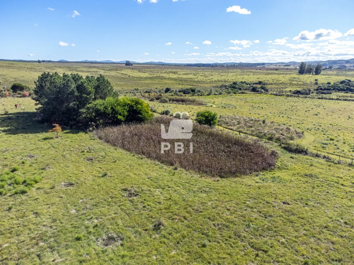 Chacra en Punta Ballena, propiedad 174901 -Imagen 14