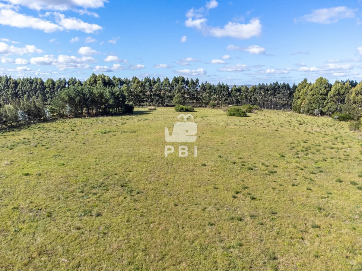 Chacra en Punta Ballena, propiedad 174901 -Imagen 4