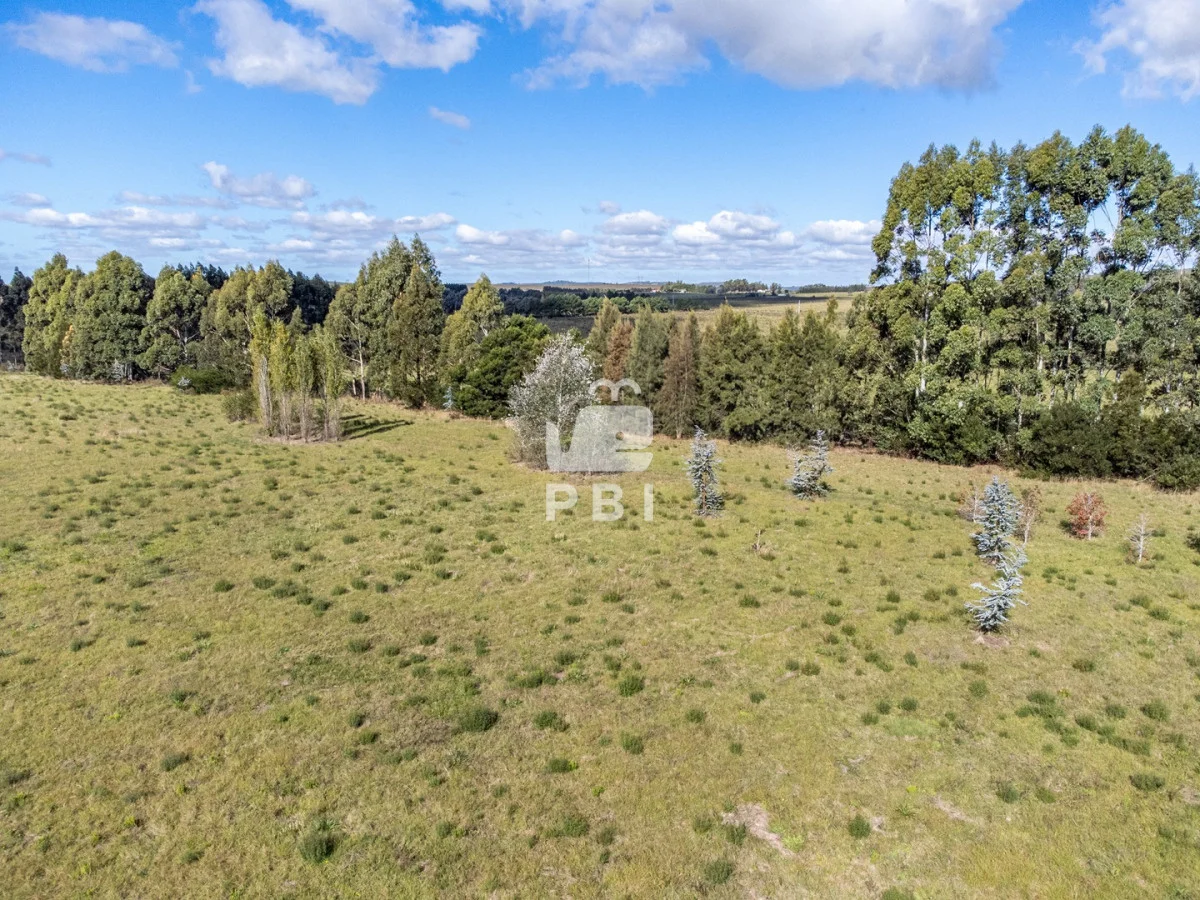 Chacra en Punta Ballena, propiedad 174901 -Imagen 5