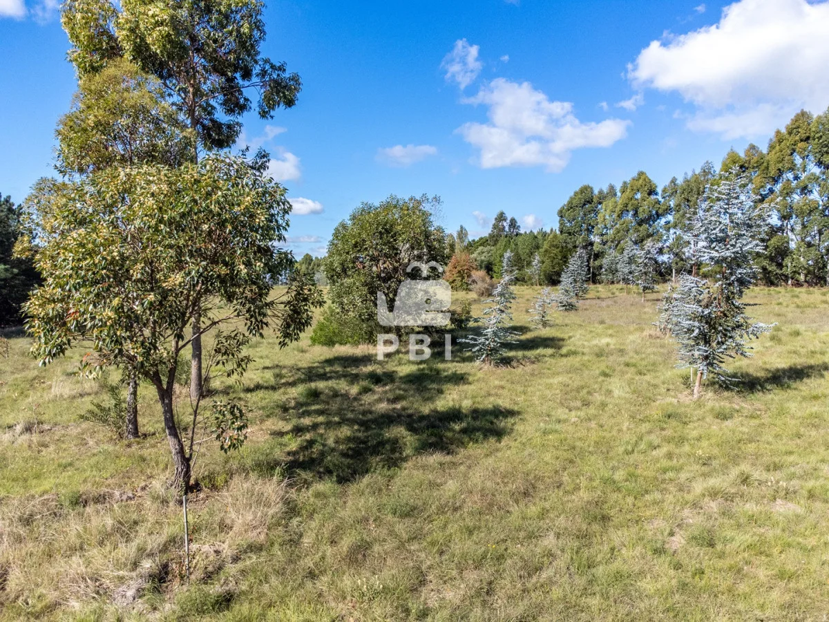 Chacra en Punta Ballena, propiedad 174901 -Imagen 6