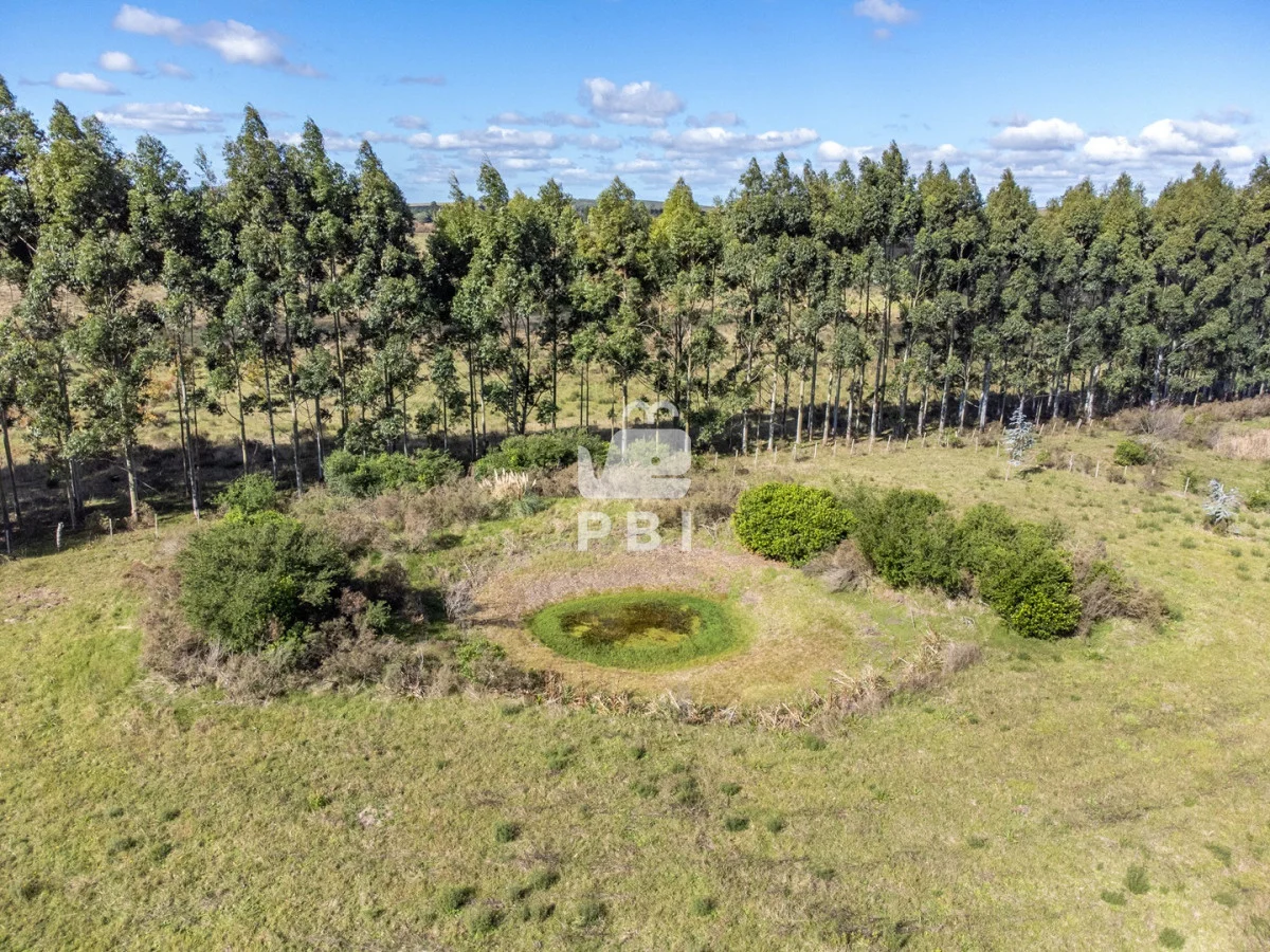 Chacra en Punta Ballena, propiedad 174901 -Imagen 7