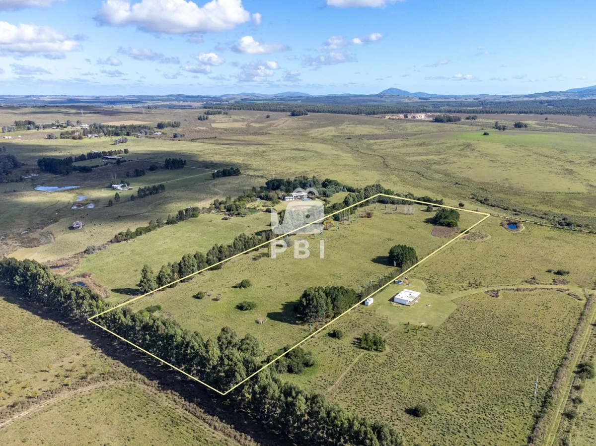 Chacra en Punta Ballena, propiedad 174901 -Imagen 8