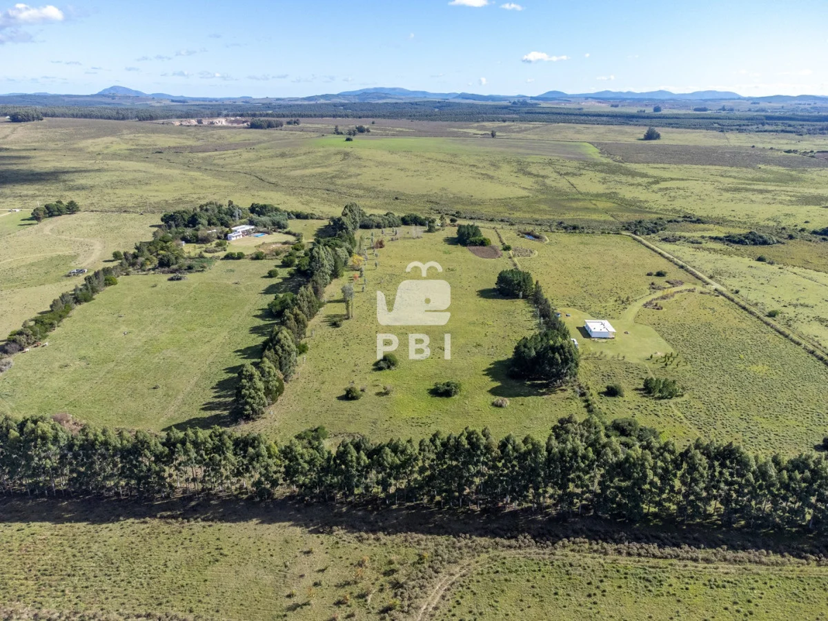 Chacra en Punta Ballena, propiedad 174901 -Imagen 9