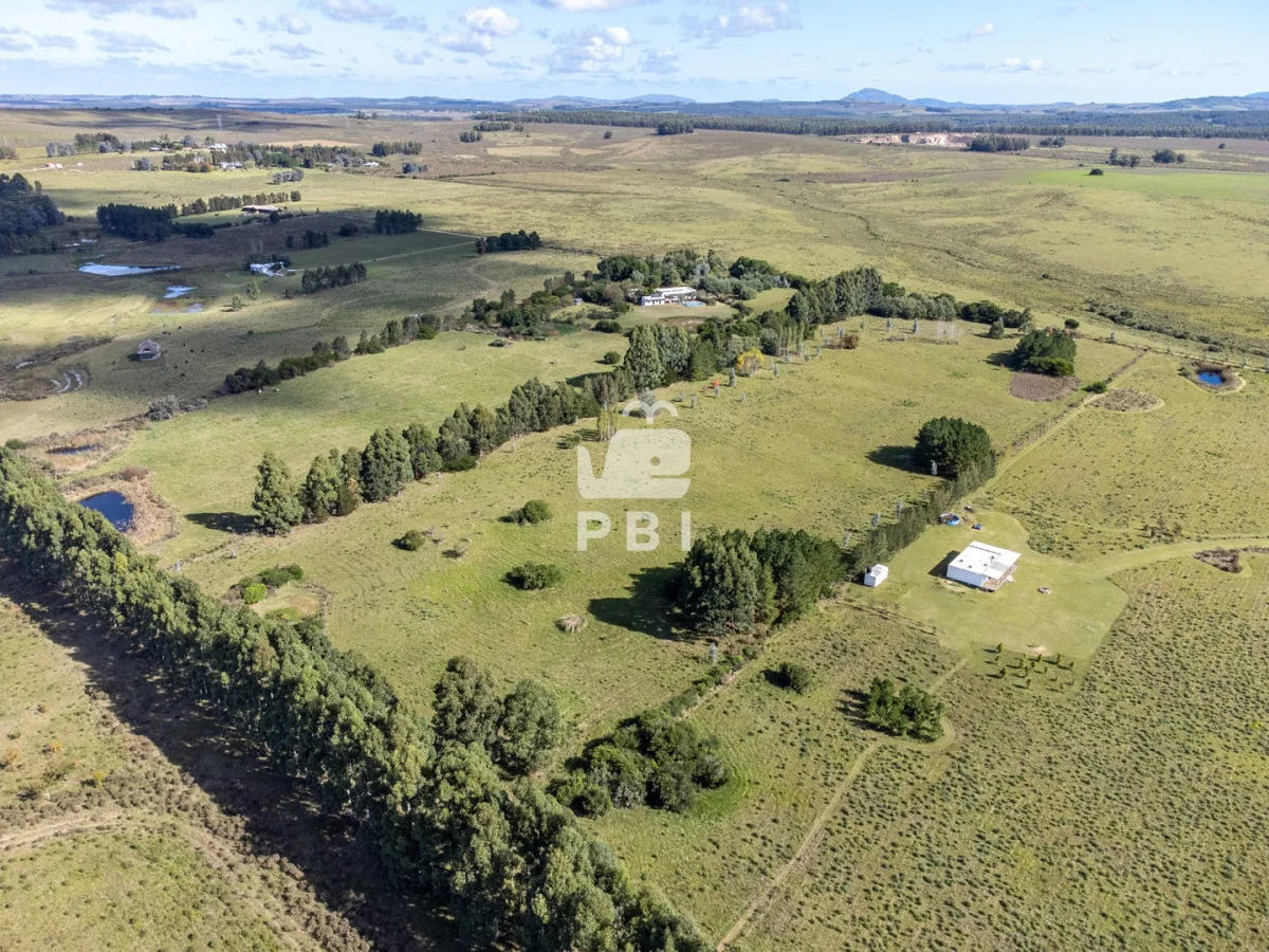 Chacra en Punta Ballena, propiedad 174901 -Imagen 10