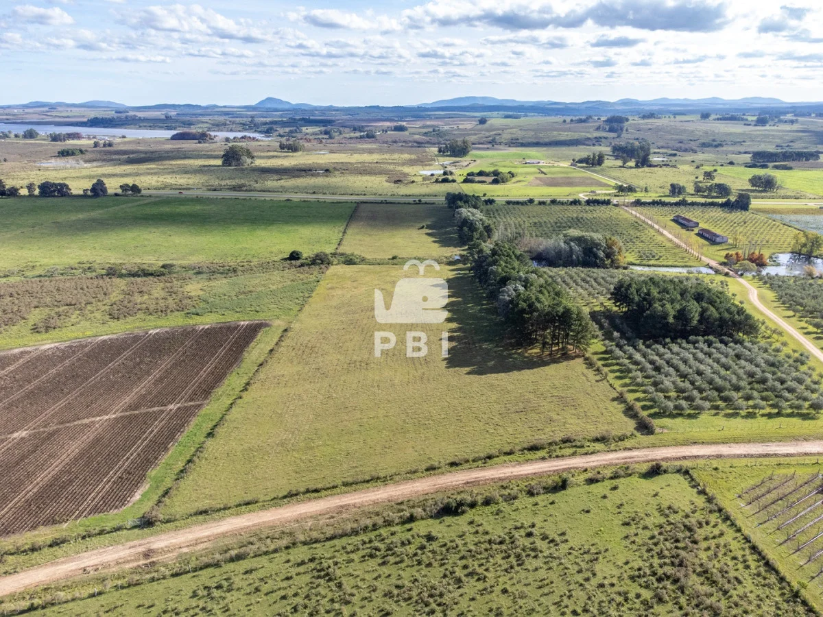Chacra en Laguna del Sauce, propiedad 177372 -Imagen 2