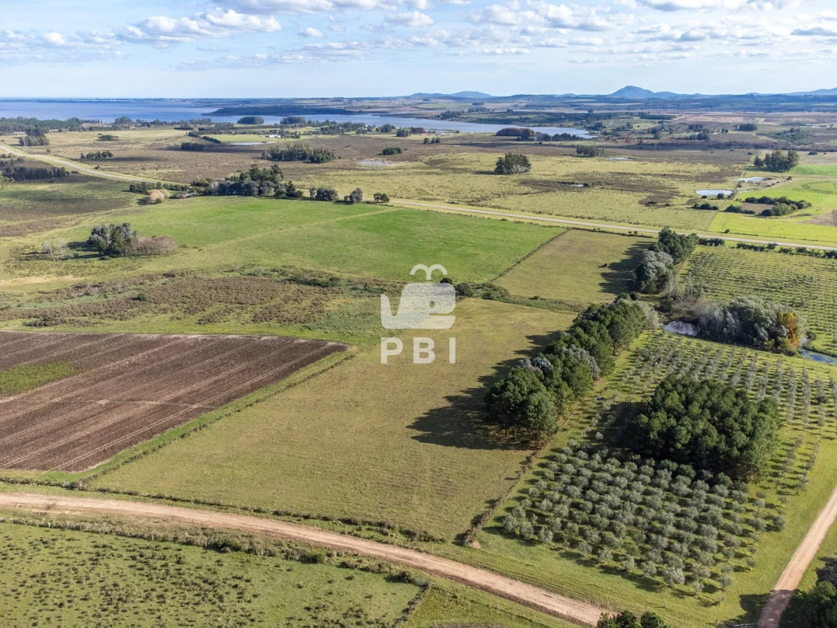 Chacra en Laguna del Sauce, propiedad 177372 -Imagen 3