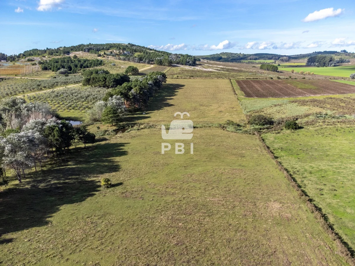 Chacra en Laguna del Sauce, propiedad 177372 -Imagen 5